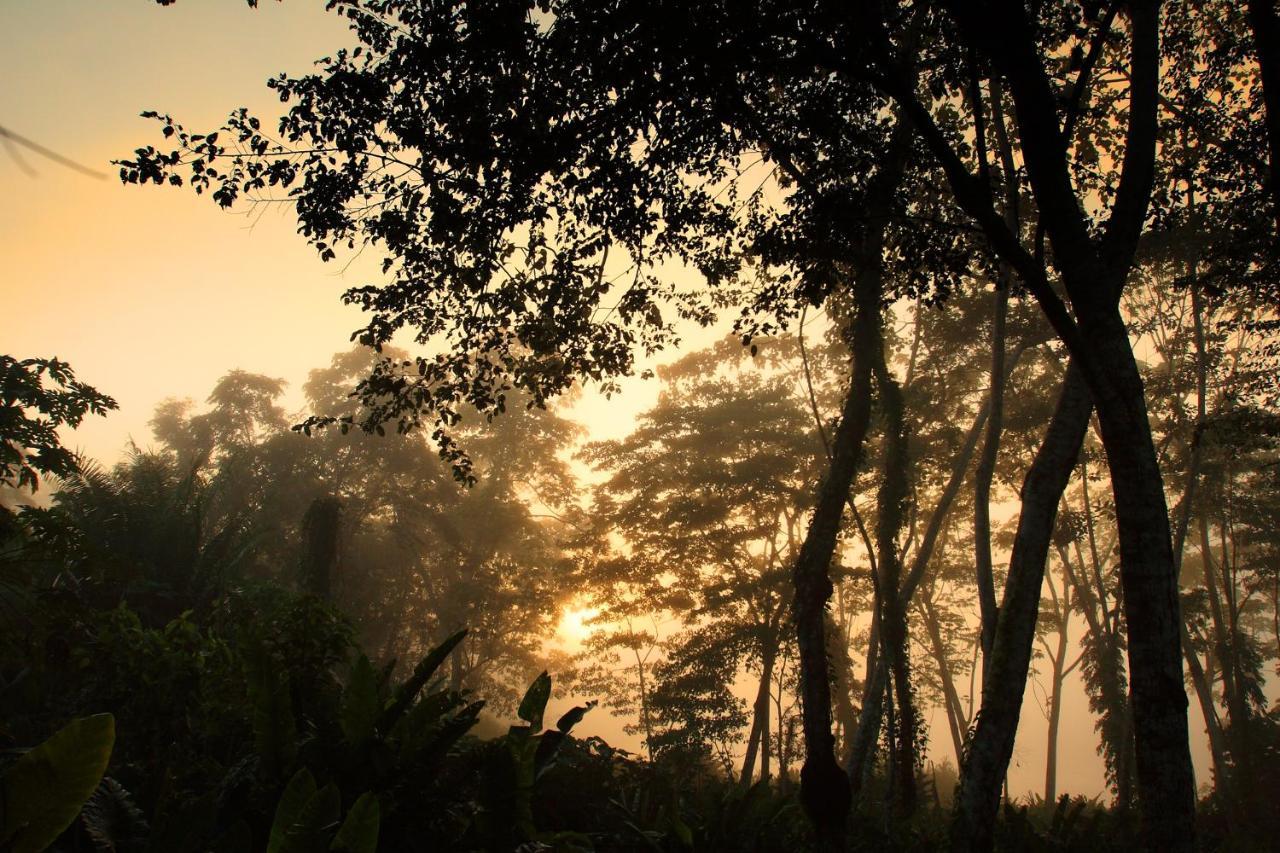 Wasai Tambopata Lodge Exterior photo